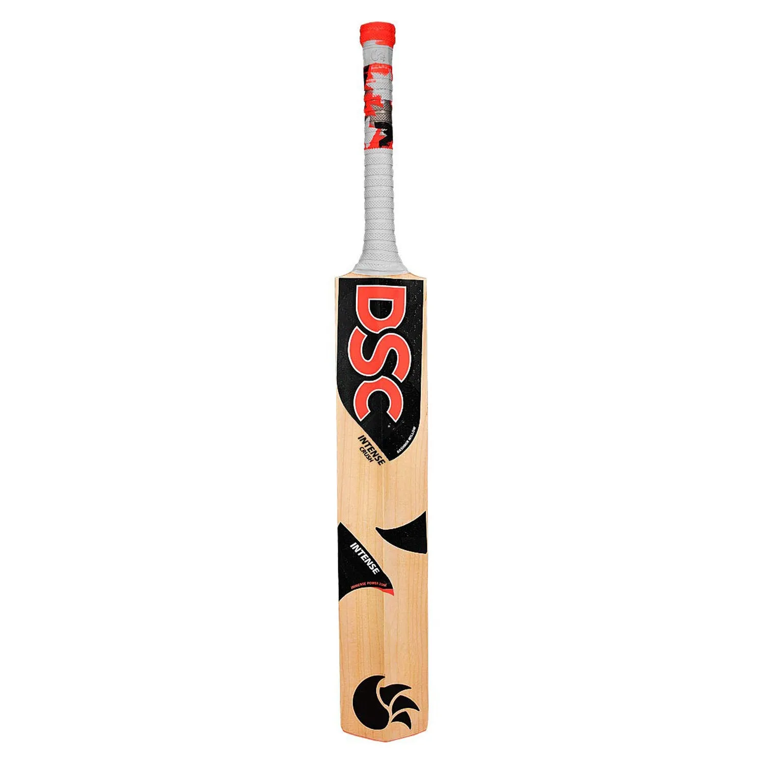 DSC Intense Crush Kashmir Willow Cricket Bat
