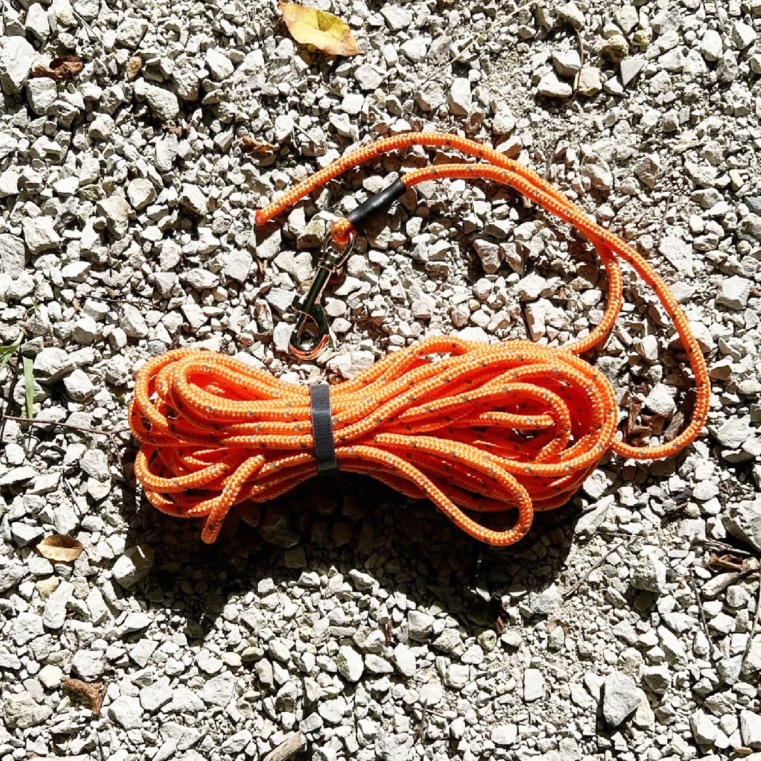Mighty Paw 30' Check Cord